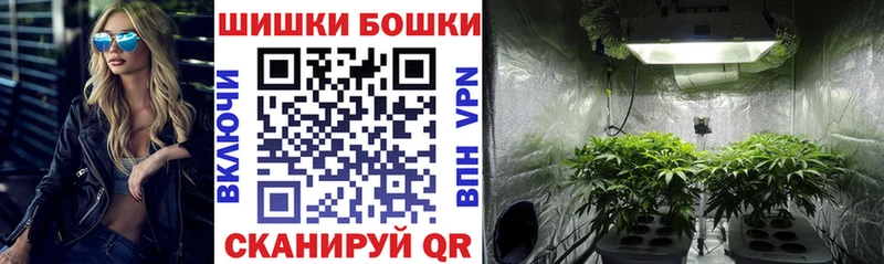 Купить закладку МЕТАДОН Cocaine Меф мяу мяу Бошки Шишки Alpha PVP Новая Ладога