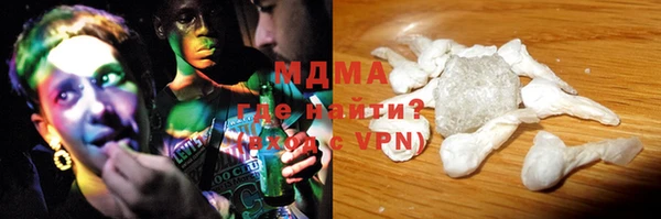 дмт Богданович