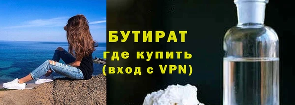 дмт Богданович