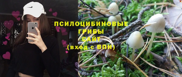 каннабис Богородицк