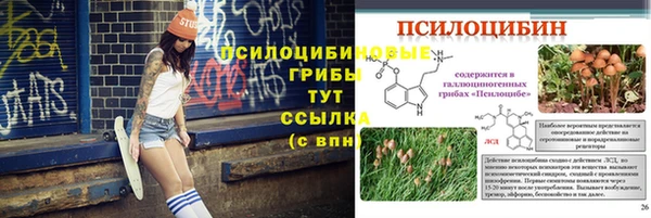 дмт Богданович