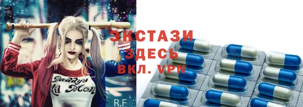дмт Богданович