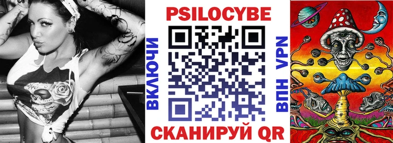 Купить где  Новая Ладога  Галлюциногенные грибы Psilocybe 