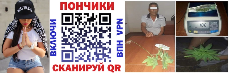 Купить закладки  Новая Ладога  Бошки Шишки гибрид 